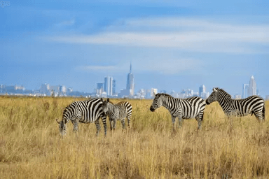 Nairobi, Kenya